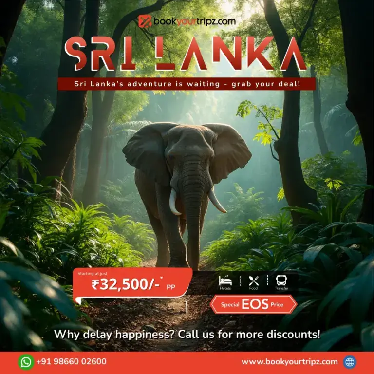 Book_Your_tripz-social_creative-3